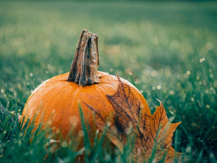 aaron-burden-jknEMf2GA-4-unsplash