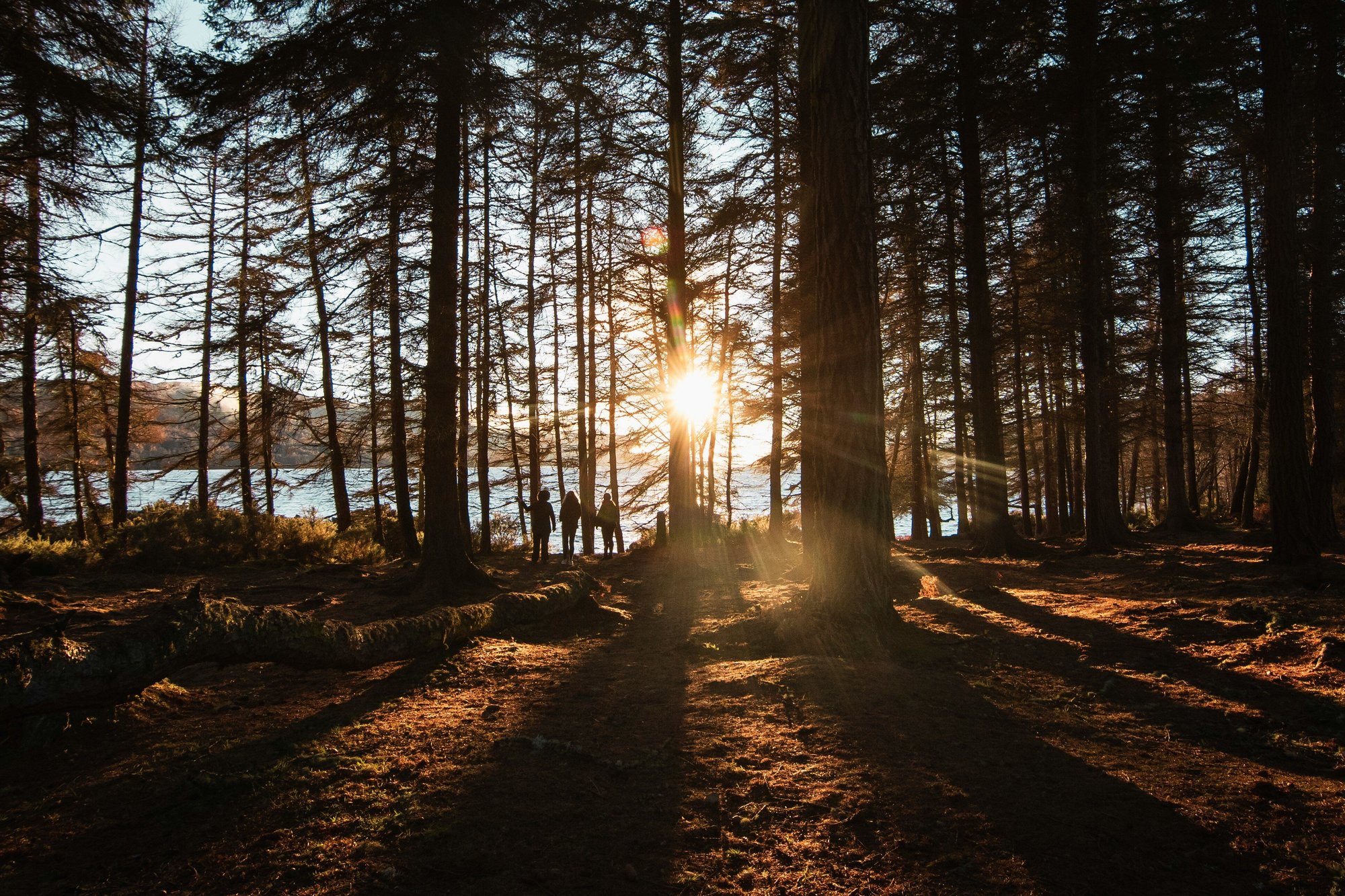 roan-lavery-fIFpi7JK33c-unsplash