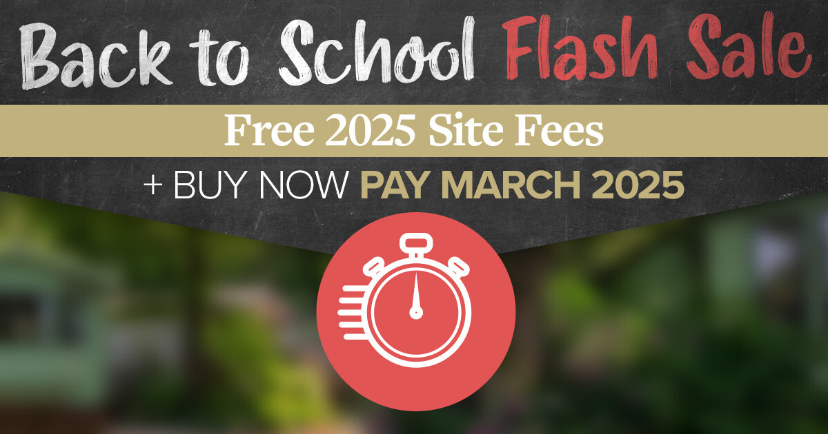 PLG - Back To School Flash Sale - Landing - 2024